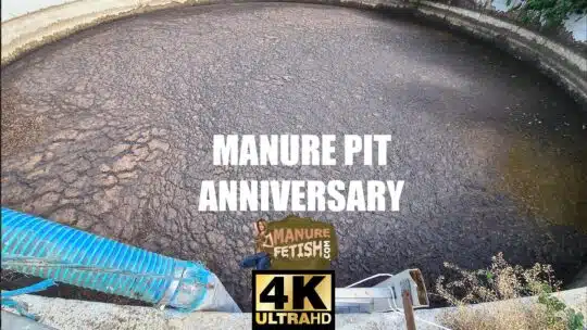 Manure Pit anniversary 4k