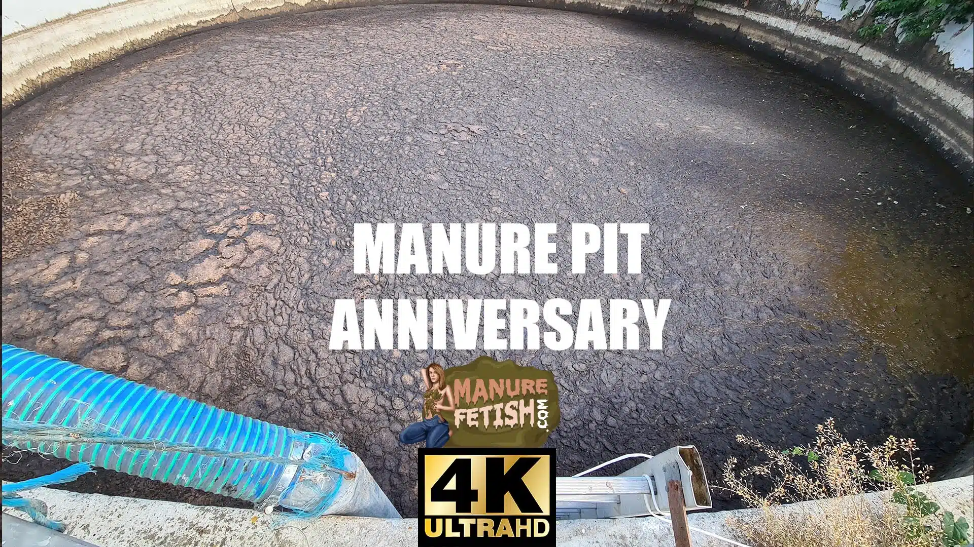 Manure Pit Anniversary