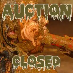 Auktion Beendet