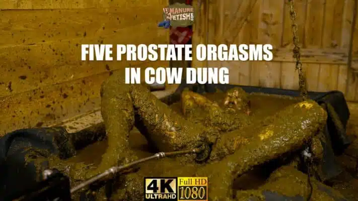 Five Prostate Orgasms in Cow Dung Trailer