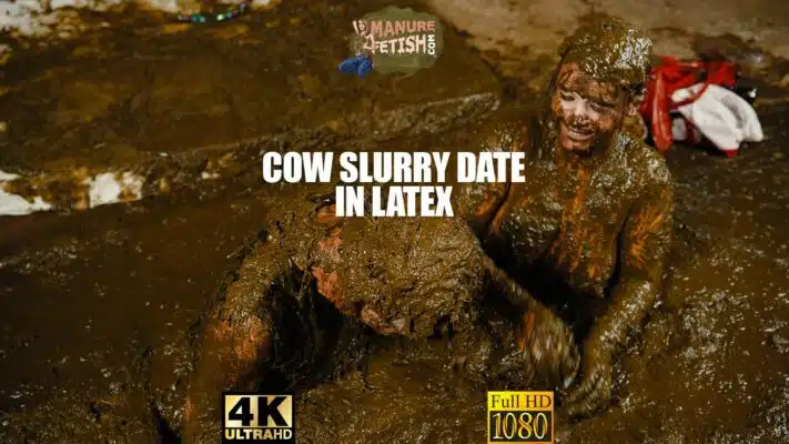 Cow Slurry Date in Latex