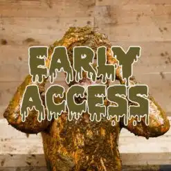 Early Access