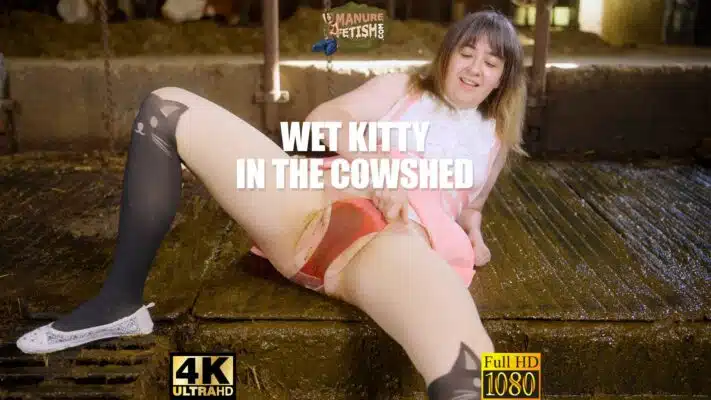 Wet Kitty In The Cowshed Trailer