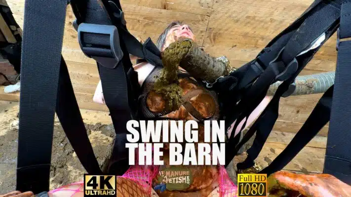 Swing in the Barn