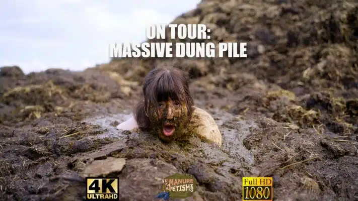 ON TOUR: Massive Dung Pile