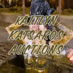 Kaitlyn Katsaros Auktionen
