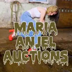 Maria Anjel Auctions